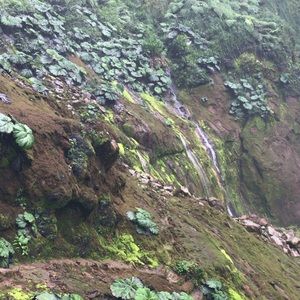 Meet your Posher, Candi